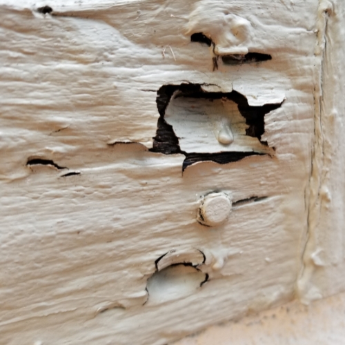 Wood Rot Repair in Bluffton, SC